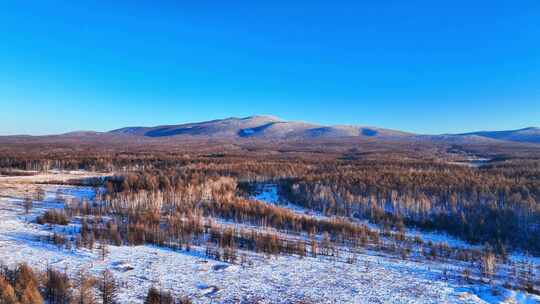 航拍大兴安岭冬季山川森林雪景