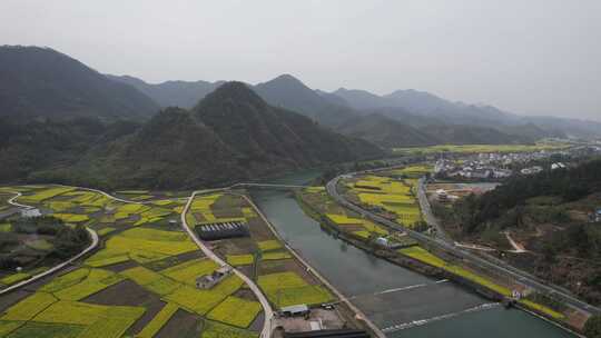 油菜花开 宣城市绩溪县龙川风光航拍素材