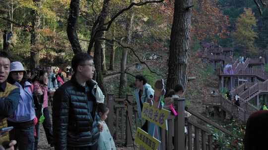 深秋游客人群特写：打卡南黄古道赏秋景枫叶