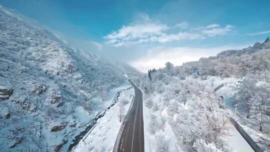 航拍森林雪景森林公路雪松