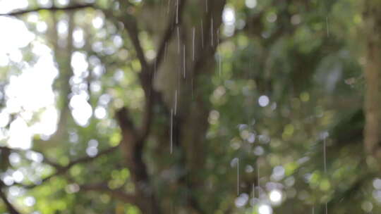 雨滴春天