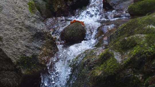 河流溪流溪水泉水河流水流河水水源山水河水视频素材模板下载