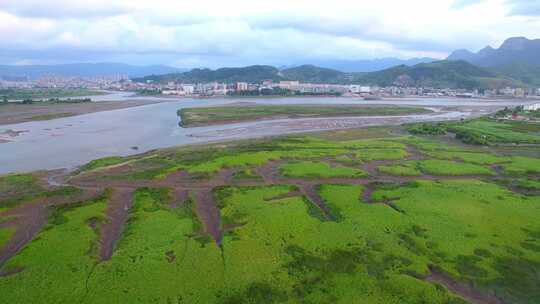 航拍闽江小岛果园茉莉花田沙洲湿地河汊白鹭