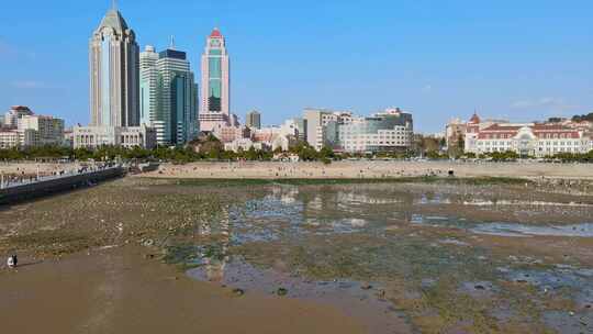 海岸线海边海鸥