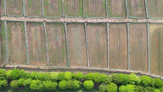 农业养殖小龙虾基地航拍