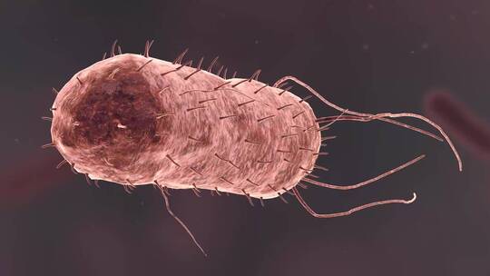 医学微观生物病毒细胞形态医疗三维动画展示