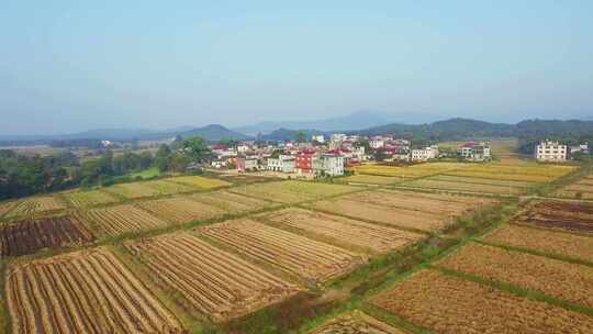 雷家古村4