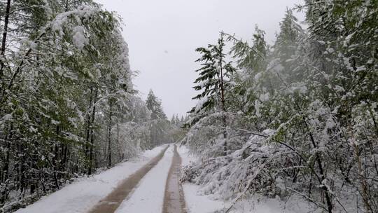 大兴安岭春季降雪雪原山路风景