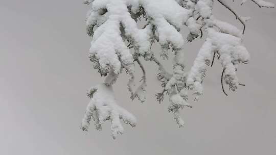 贺兰山金顶雪景视频 (36)