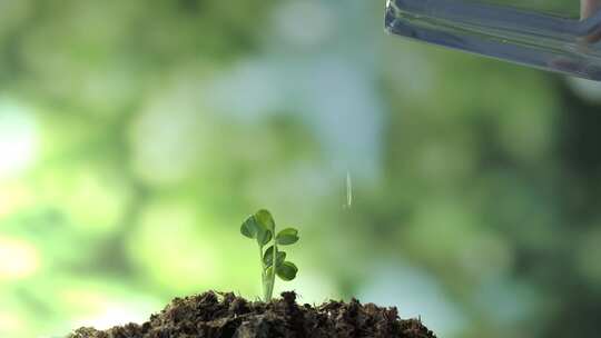 植树节种树森林元素