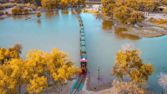 额济纳胡杨林小火车内蒙古风景秋天胡杨