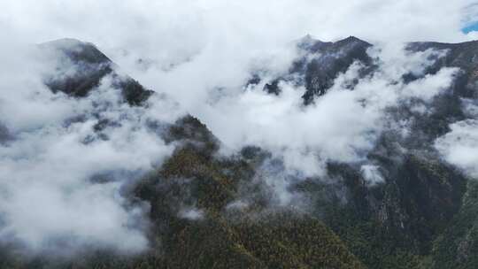 航拍人间仙境西藏高山林海云雾缭绕秋天风景