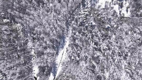 陕西秦岭分水岭雾凇冰挂雪景