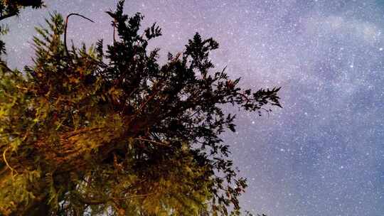 在晴朗的夜晚凝视星空