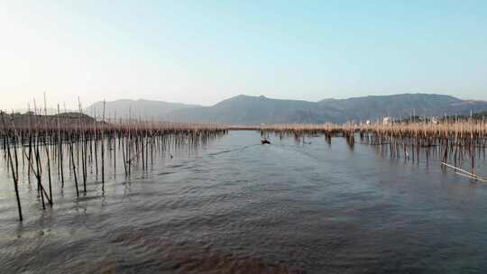 福建霞浦海岛海边滩涂日落晚霞自然风光