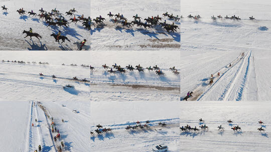 【10条合集】雪原上的蒙古马-44高清在线视频素材下载