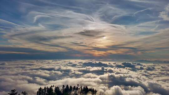 森林阳光云海森林云雾缭绕树林山大自然山峰