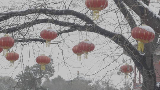 北京冬天 胡同空镜 北京生活