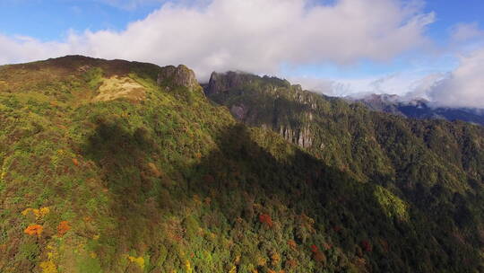 航拍高山秋色森林