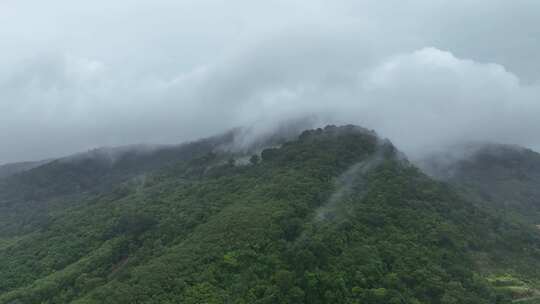 泰国普吉岛雨后的山和雾