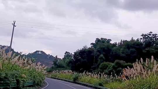 徒步探险山林间漫游小道里隐藏的美景等你来