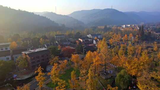 美丽山村 长兴八都芥景区