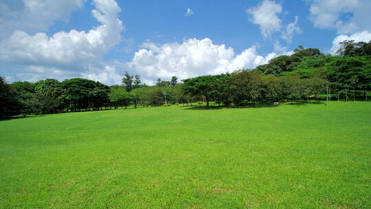 蓝天阳光草坪公园草地绿地