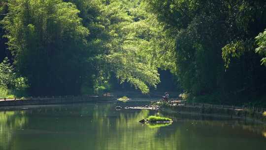 广西乡村夏天竹林河流垂钓风景