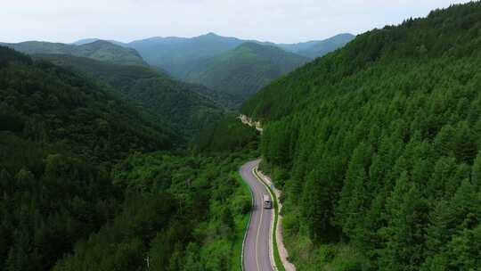 宁夏固原市六盘山森林公园