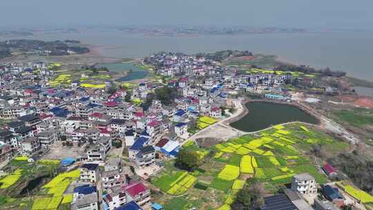 九江市都昌县周溪镇鄱阳湖湿地航拍自然风光