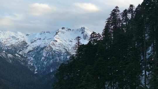 航拍雪山森林