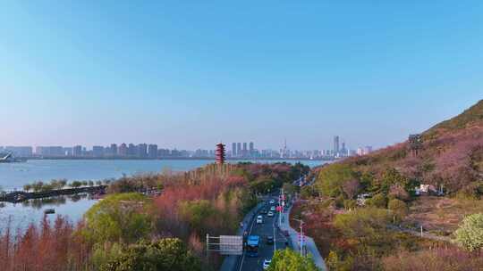航拍春天唯美徐州云龙湖风景区苏公塔园林