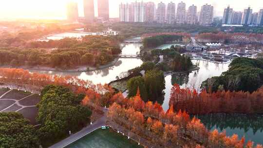 上海世纪公园秋天  秋天风景