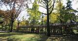 秋天中国古典园林拙政园高清在线视频素材下载