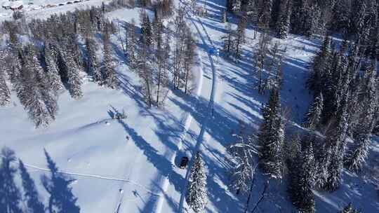 新疆喀纳斯雪景-树影雪路跟车前行