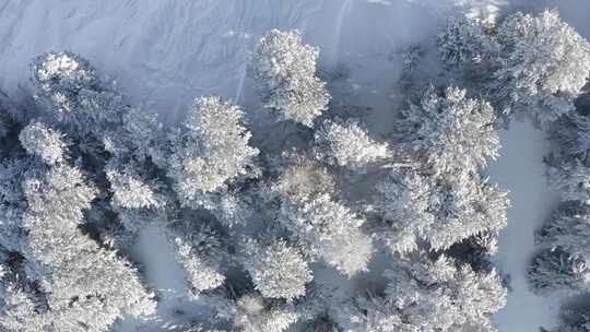 冬季的雪山景色