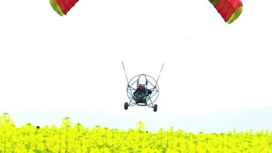 油菜花海滑翔机滑翔伞乡村旅游视频素材模板下载