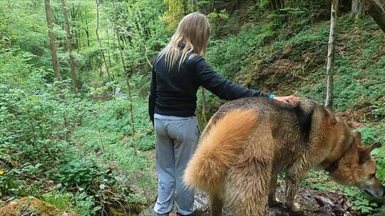 一个女孩和她的狗站在森林山上的一条小溪旁