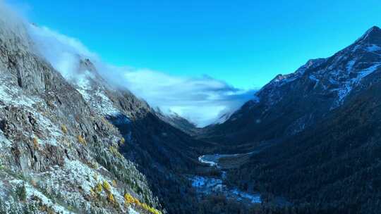 雪山下多彩树林与湖泊相映的美景