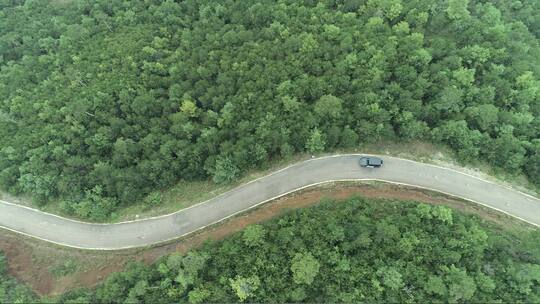 汽车行驶在林间公路的上空航拍