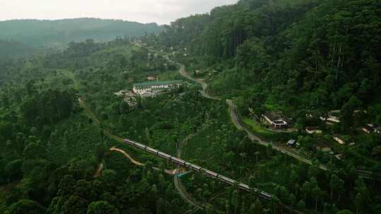 斯里兰卡，旅游，锡兰，雨林