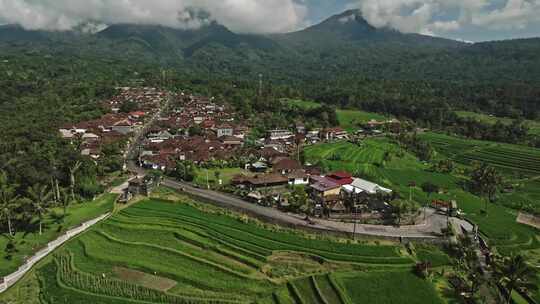 Jatiluwih，稻田，热带，乡村