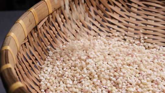 高粱米 升格拍摄  五谷杂粮 杂粮食品
