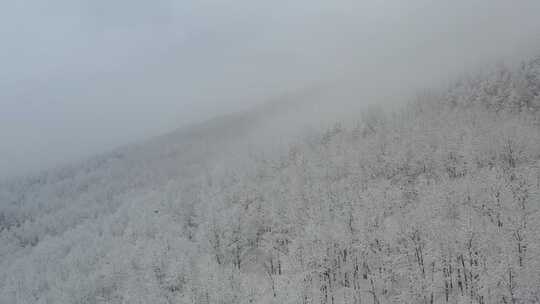 大雪过后的五台山