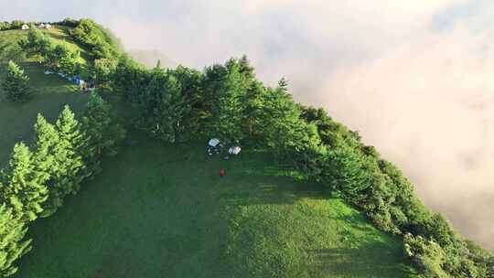 航拍高山草原森林树林云海云雾晴天