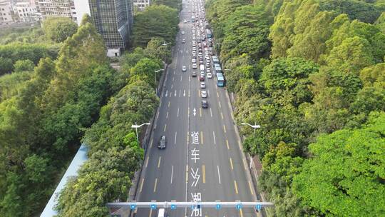 下班时段城市道路