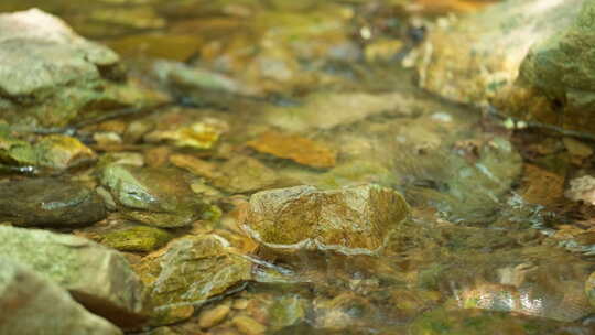 春天山涧湍急清澈小溪流泉水