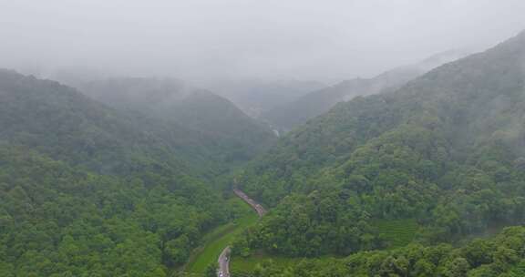 杭州西湖龙井茶园梅家坞云雾航拍茶山