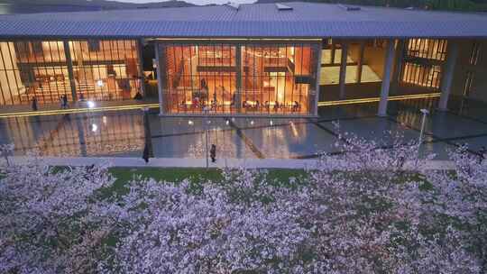 良渚艺术中心大屋顶樱花