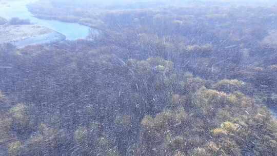 风雪中的湿地河流雪花飞舞